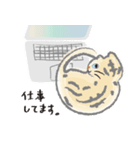 なにのむ？ねこ（個別スタンプ：6）