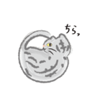 なにのむ？ねこ（個別スタンプ：16）