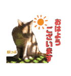 2匹の茶トラ むぎとほっぷ【完全版】（個別スタンプ：9）