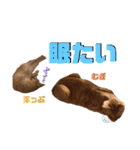 2匹の茶トラ むぎとほっぷ【完全版】（個別スタンプ：21）