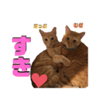 2匹の茶トラ むぎとほっぷ【完全版】（個別スタンプ：25）