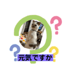 平次＆孝3（個別スタンプ：2）