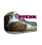 平次＆孝3（個別スタンプ：3）