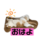 平次＆孝3（個別スタンプ：5）