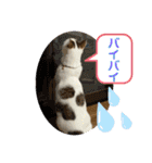 平次＆孝3（個別スタンプ：20）