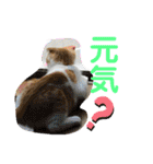 平次＆孝3（個別スタンプ：26）