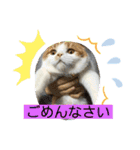 平次＆孝3（個別スタンプ：27）