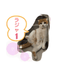 平次＆孝3（個別スタンプ：30）