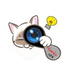 猫の店長と番長の宝石学（個別スタンプ：6）