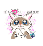 猫の店長と番長の宝石学（個別スタンプ：10）