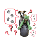 らむぱん☆6（個別スタンプ：1）