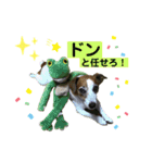 らむぱん☆6（個別スタンプ：2）