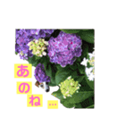 らむぱん☆6（個別スタンプ：5）