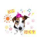 らむぱん☆6（個別スタンプ：7）