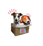 らむぱん☆6（個別スタンプ：10）