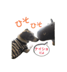 らむぱん☆6（個別スタンプ：11）