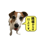 らむぱん☆6（個別スタンプ：13）