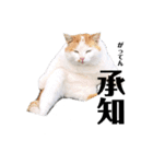 俺、いちのじょう。（個別スタンプ：1）