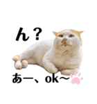 俺、いちのじょう。（個別スタンプ：17）