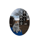 俺、いちのじょう。（個別スタンプ：19）