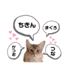 もふもふな同居人（個別スタンプ：16）