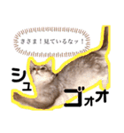 もふもふな同居人（個別スタンプ：33）