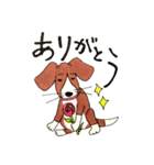 ビーグルmix犬☆Bettyの日常（個別スタンプ：3）