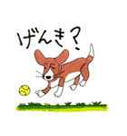 ビーグルmix犬☆Bettyの日常（個別スタンプ：4）