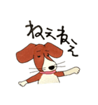 ビーグルmix犬☆Bettyの日常（個別スタンプ：8）