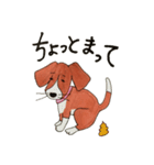 ビーグルmix犬☆Bettyの日常（個別スタンプ：16）