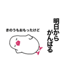 文鳥のマリ 日日是好日 ③（個別スタンプ：1）