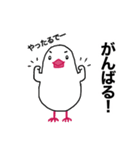 文鳥のマリ 日日是好日 ③（個別スタンプ：2）