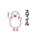 文鳥のマリ 日日是好日 ③（個別スタンプ：3）