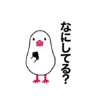 文鳥のマリ 日日是好日 ③（個別スタンプ：35）