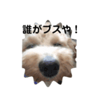 長崎県をしゃべるわんこ〜part2〜（個別スタンプ：3）