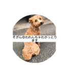 長崎県をしゃべるわんこ〜part2〜（個別スタンプ：10）