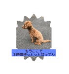 長崎県をしゃべるわんこ〜part2〜（個別スタンプ：14）
