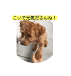 長崎県をしゃべるわんこ〜part2〜（個別スタンプ：15）