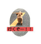 長崎県をしゃべるわんこ〜part2〜（個別スタンプ：23）