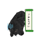 ちゃこ＆とっと（個別スタンプ：8）