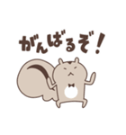 リスイチとネコすけ（個別スタンプ：24）