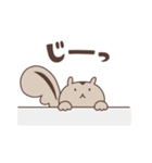 リスイチとネコすけ（個別スタンプ：34）