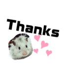 hamster cat capybara❤️（個別スタンプ：1）