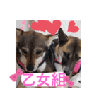 愉快なワンズ（個別スタンプ：5）