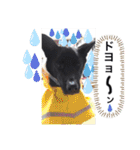 愉快なワンズ（個別スタンプ：9）
