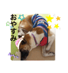 愉快なワンズ（個別スタンプ：14）