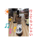 愉快なワンズ（個別スタンプ：23）