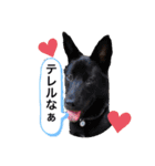 愉快なワンズ（個別スタンプ：32）