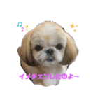 coco＆chobby（個別スタンプ：6）
