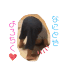 末っ子長男くん。（個別スタンプ：39）